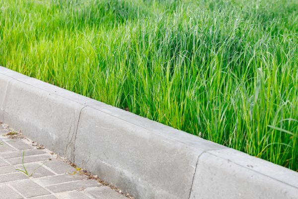 Concrete Curb Repair in Danbury