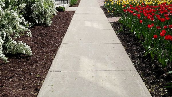 Concrete Pathway Repair in Danbury